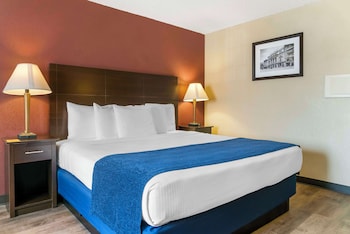 Standard Room, 1 King Bed, Non Smoking, Refrigerator & Microwave