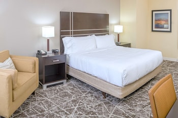 Room, 1 King Bed