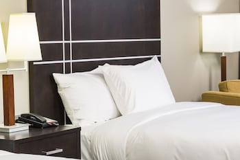 Room, 1 King Bed
