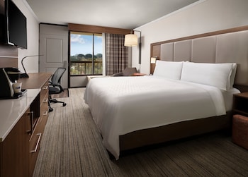 Room, 1 Double Bed, Accessible (Mobility, Accessible Tub)