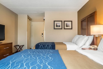 Standard Double Room, 2 Double Beds, Non Smoking