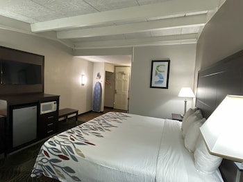 Superior Room, 1 King Bed, Non Smoking
