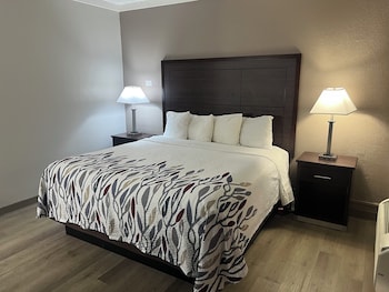 Deluxe Room, 1 King Bed, Non Smoking