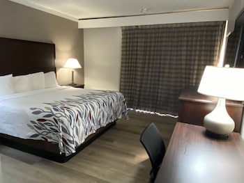 Superior Room, 1 King Bed, Accessible, Non Smoking (Roll-in Shower)