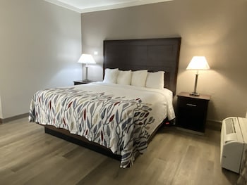 Superior Room, 1 King Bed, Accessible, Non Smoking (Roll-in Shower)