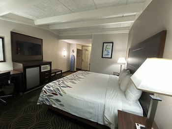Superior Room, 1 King Bed, Non Smoking