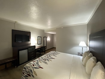 Superior Room, 1 King Bed, Accessible, Non Smoking (Roll-in Shower)