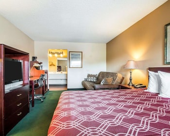 Suite, 1 King Bed with Sofa bed, Non Smoking