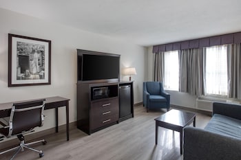 Suite, 1 King Bed, Non Smoking, Refrigerator & Microwave (with Sofabed)