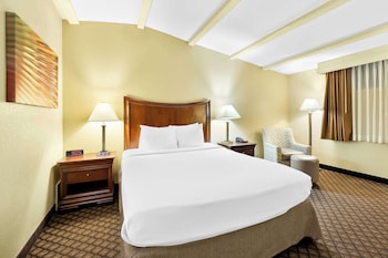 Standard Room, 1 Queen Bed, Non Smoking, Refrigerator & Microwave