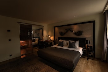 Superior Room, 1 Double Bed (Double)