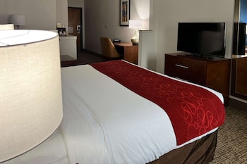 Suite, 1 King Bed with Sofa bed, Accessible, Non Smoking (Roll-In Shower)