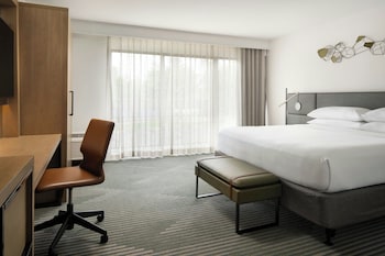 Room, 1 King Bed with Sofa bed (Mobility Accessible, Roll-In Shower)