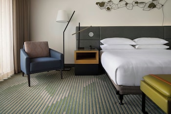 Room, 1 King Bed with Sofa bed
