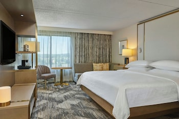 Room, 1 King Bed