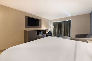 Executive Room, 1 King Bed, Non Smoking (with Sofabed)