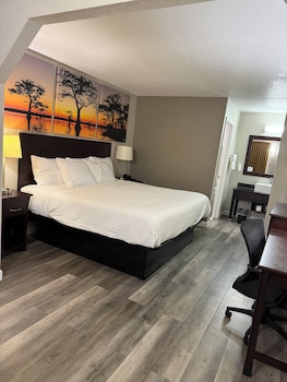 Room, 1 King Bed, Non Smoking