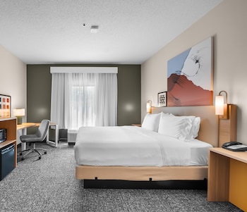 Room, 1 King Bed with Sofa bed