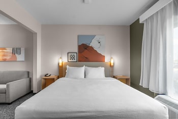 Room, Accessible (Roll-In Shower)
