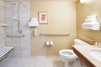 Standard Room, 1 King Bed, Accessible (Communication, Roll-In Shower)