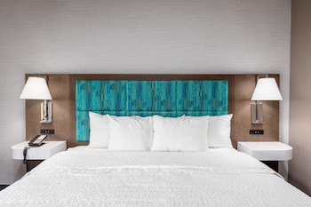 Room, 1 King Bed, Accessible, Non Smoking