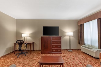 Standard Room, Multiple Beds, Non Smoking