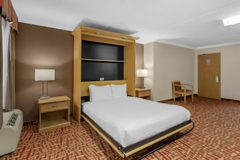 Standard Room, 1 Queen Bed, Accessible, Non Smoking (with Sofabed)