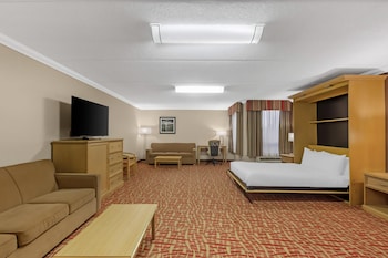 Standard Room, 1 Queen Bed, Accessible, Non Smoking (with Sofabed)