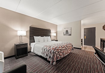 Deluxe Room, 1 King Bed, Accessible, Non Smoking (Roll-In Shower)