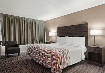 Deluxe Room, 1 King Bed, Accessible, Non Smoking (Roll-In Shower)