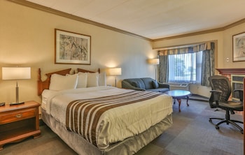 Standard Room, 1 Queen Bed, Non Smoking, Fireplace (with Sofabed)