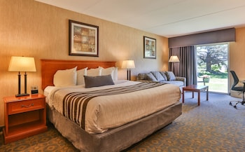 Standard Room, 1 King Bed, Non Smoking (with Sofabed)
