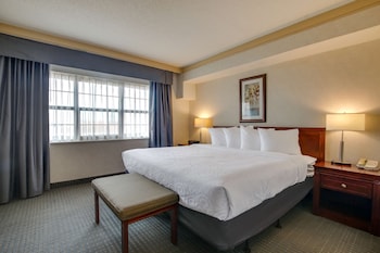 Suite, 1 King Bed, Non Smoking, Refrigerator & Microwave (with Sofabed)