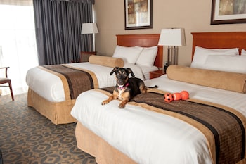 Standard Room, 2 Double Beds, Non Smoking (Pet Friendly)