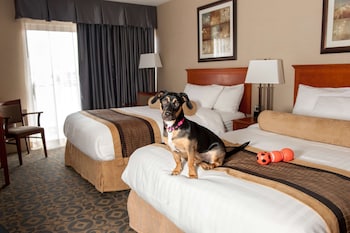Standard Room, 2 Double Beds, Non Smoking (Pet Friendly)