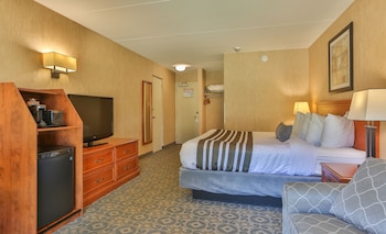 Standard Room, 1 King Bed, Non Smoking (with Sofabed)