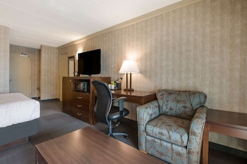 Standard Room, 1 King Bed, Non Smoking, Refrigerator & Microwave (with Sofabed)