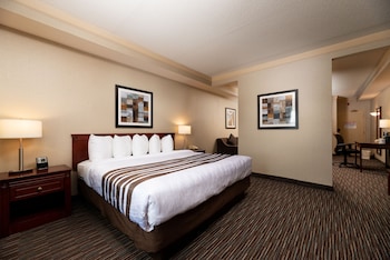Standard Room, 1 King Bed, Non Smoking, Refrigerator & Microwave (with Sofabed)
