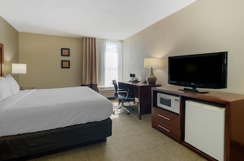 Room, 1 King Bed, Non Smoking