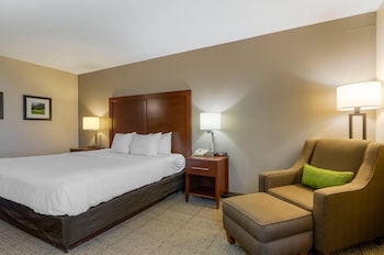 Room, 1 King Bed, Accessible, Non Smoking