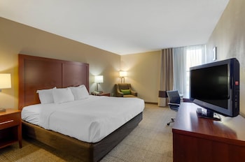 Room, 1 King Bed, Accessible, Non Smoking