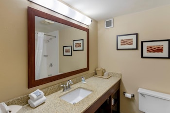 Room, 1 King Bed, Accessible, Non Smoking