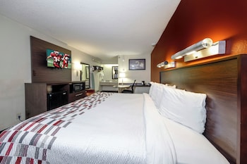 Superior Room, 1 King Bed, Non Smoking, Refrigerator & Microwave