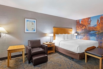 Standard Room, 1 King Bed, Accessible, Non Smoking