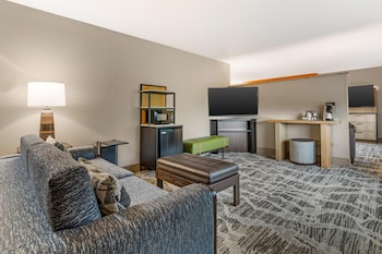 Standard Room, 1 King Bed, Non Smoking, Refrigerator & Microwave (Oversized Room)