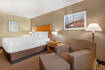Standard Room, 1 King Bed, Non Smoking, Refrigerator & Microwave