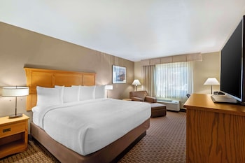 Standard Room, 1 King Bed, Accessible, Non Smoking