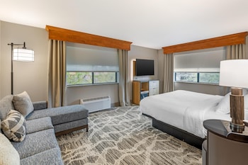Standard Room, 1 King Bed, Non Smoking, Refrigerator & Microwave (Oversized Room)