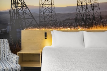 Standard Room, 1 King Bed, Non Smoking, Refrigerator & Microwave (Shower Only;No Pets in room type)