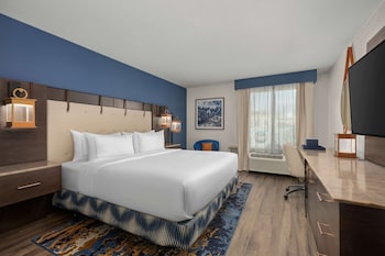 Room, 1 King Bed, Accessible (Roll-In Shower)
